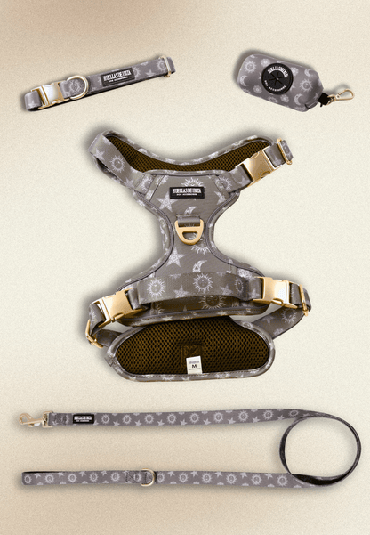 Pack Dogfluencer - Arnés ajustable control Premium "Day&Night Ibiza" - Huellas de Ibiza