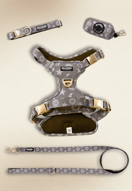 Pack Dogfluencer - Arnés ajustable control Premium "Day&Night Ibiza" - Huellas de Ibiza