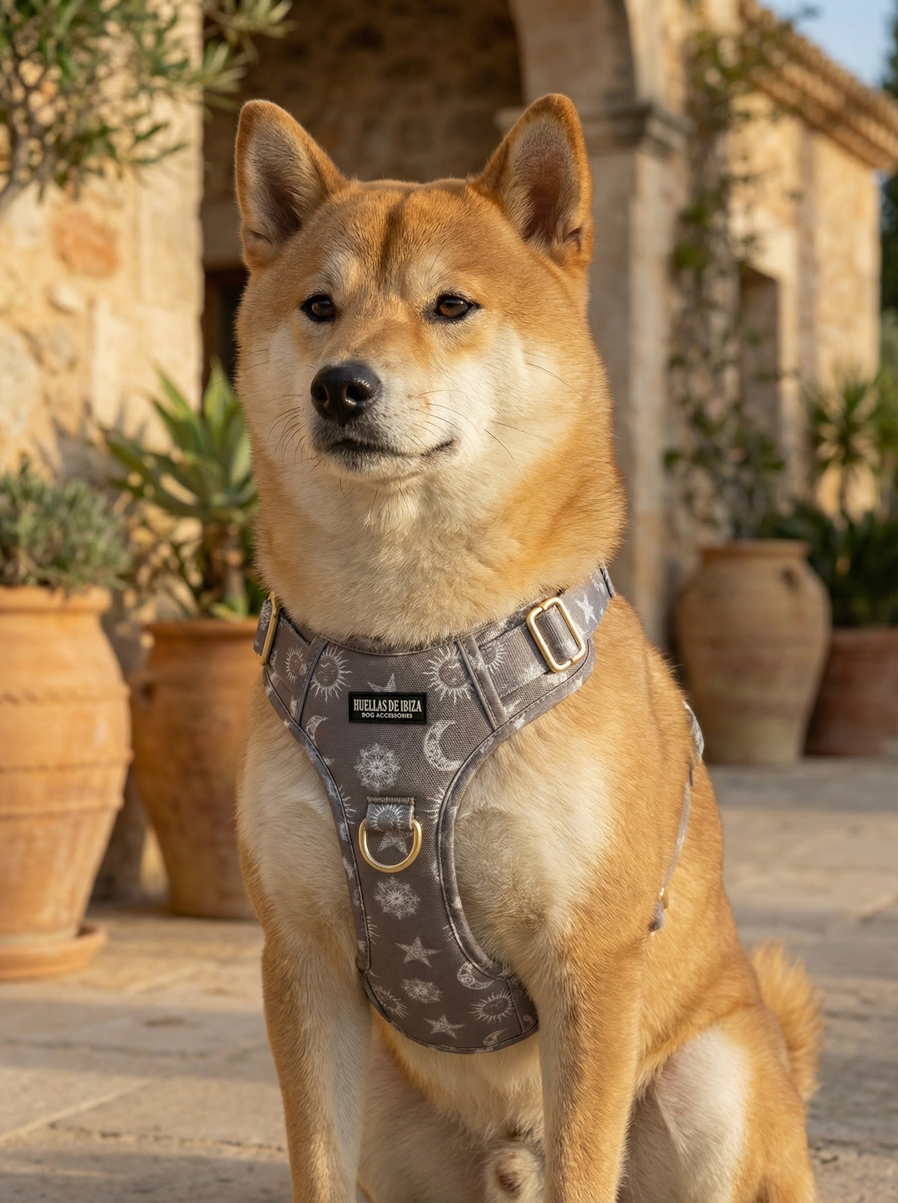 Pack Dogfluencer - Arnés ajustable control Premium "Day&Night Ibiza" - Huellas de Ibiza