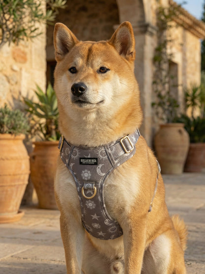 Pack Dogfluencer - Arnés ajustable control Premium "Day&Night Ibiza" - Huellas de Ibiza