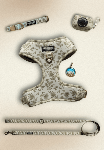 Pack Dogfluencer - Arnés ajustable Premium "Boho Chic Ibiza" + Joya Identificativa - Huellas de Ibiza