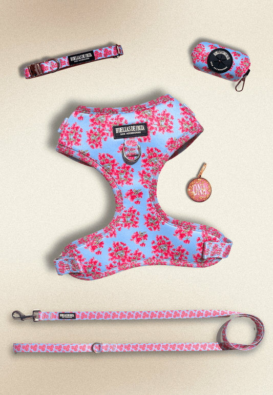 Pack Dogfluencer - Arnés ajustable Premium "Buganvillas de Ibiza" + Joya Identificativa - Huellas de Ibiza