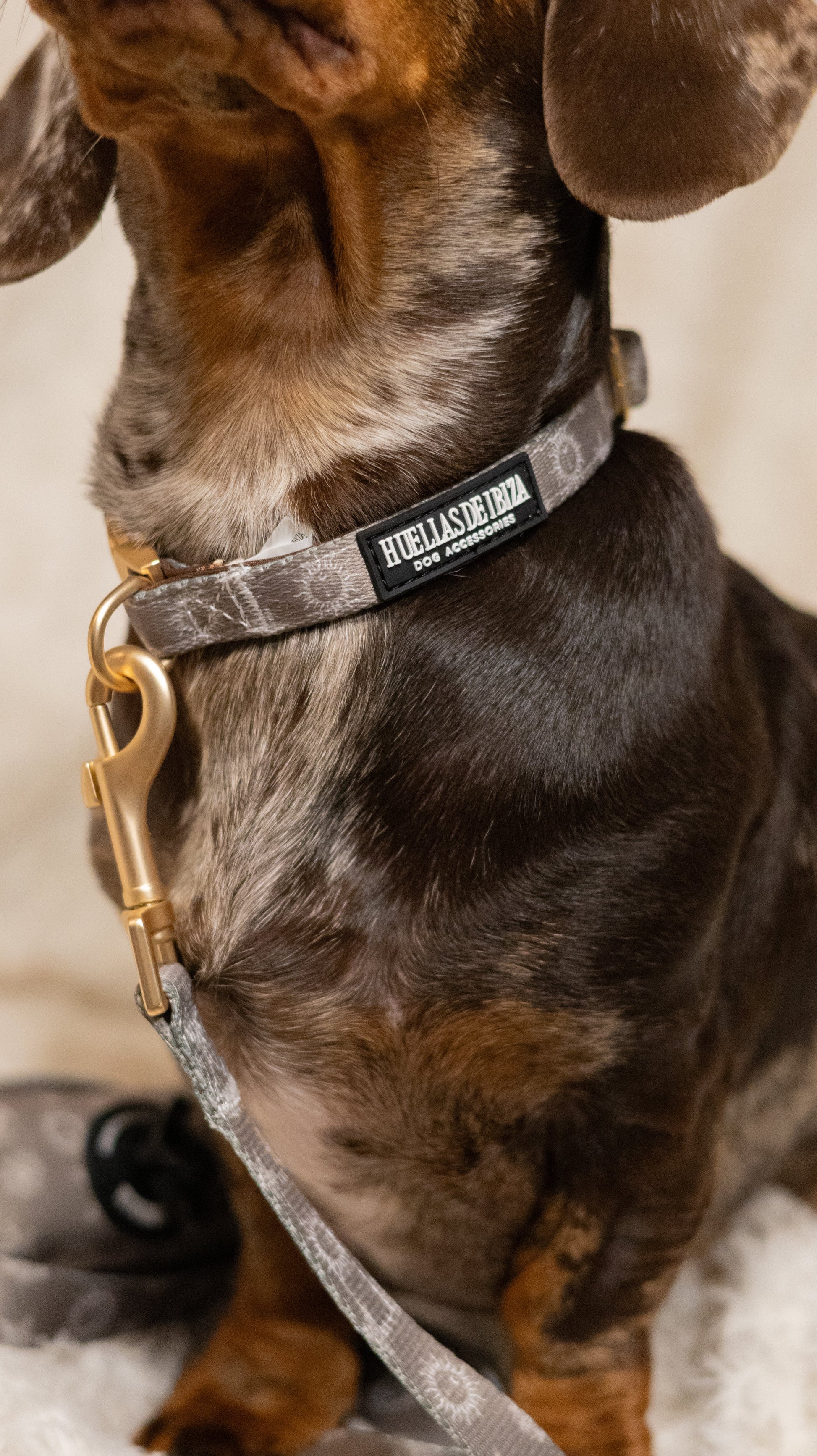 Pack Dogfluencer - Arnés ajustable Premium "Day&Night Ibiza" + Joya Identificativa - Huellas de Ibiza