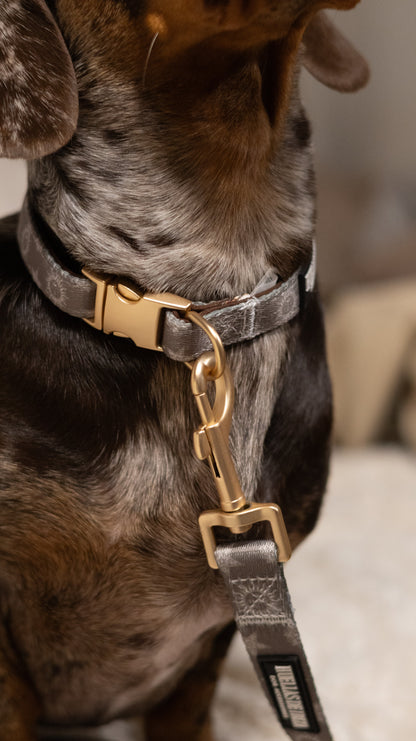 Pack Dogfluencer - Arnés ajustable Premium "Day&Night Ibiza" + Joya Identificativa - Huellas de Ibiza