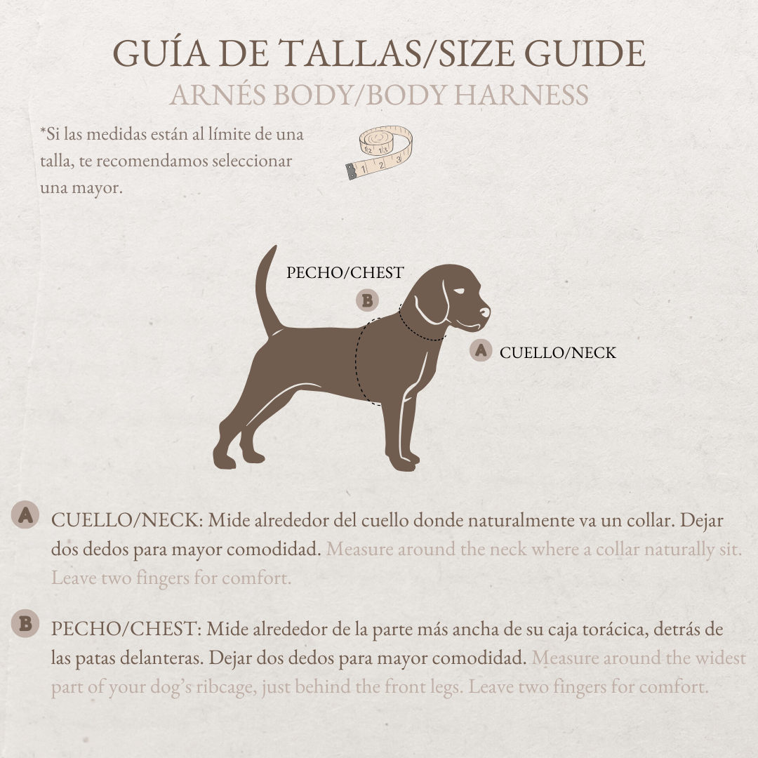 Pack Dogfluencer - Arnés Body "Boho Chic Ibiza" (Preventa) - Huellas de Ibiza