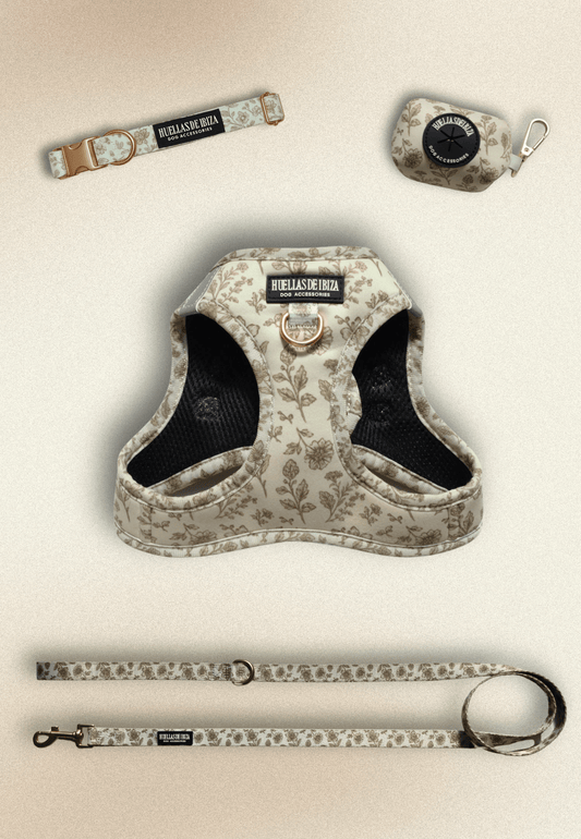 Pack Dogfluencer - Arnés Body "Boho Chic Ibiza" (Preventa) - Huellas de Ibiza