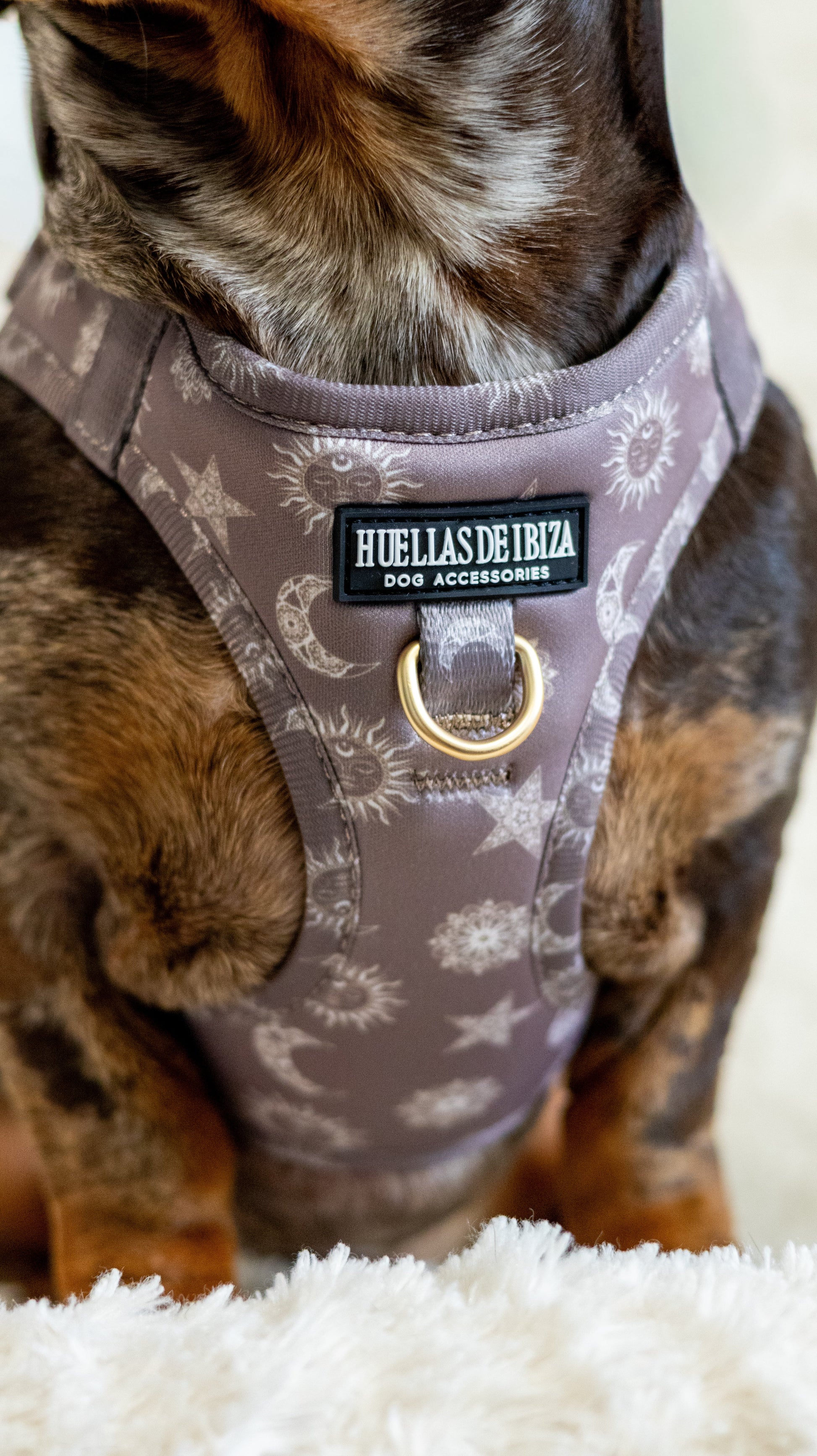 Pack Dogfluencer - Arnés body Premium "Day&Night Ibiza" + Joya Identificativa - Huellas de Ibiza