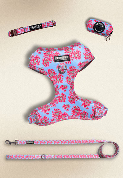 Pack Dogfluencer "Buganvillas de Ibiza" - Huellas de Ibiza