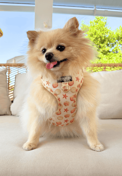 Pack Dogmodel "Arena y Sal" - Huellas de Ibiza