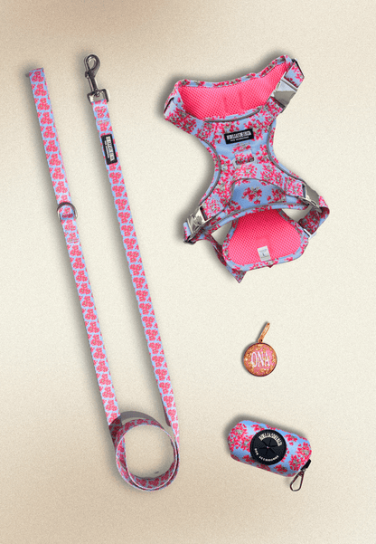 Pack Dogmodel - Arnés ajustable control Premium "Buganvillas de Ibiza" + Joya Identificativa - Huellas de Ibiza