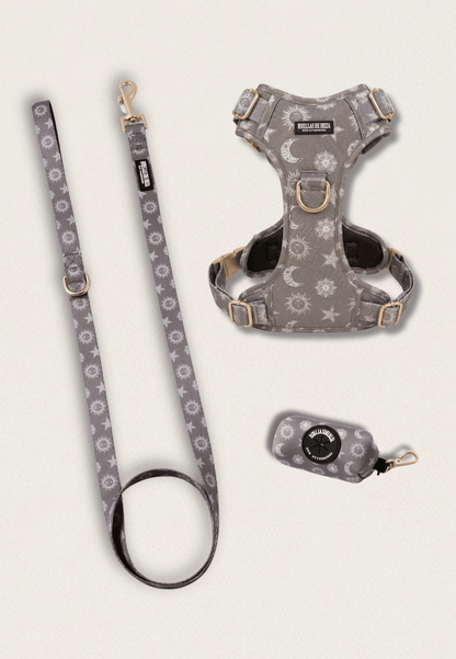 Pack Dogmodel - Arnés ajustable control Premium "Day&Night Ibiza" - Huellas de Ibiza