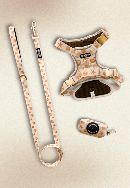 Pack Dogmodel - Arnés ajustable control Premuim "Arena y Sal" - Huellas de Ibiza