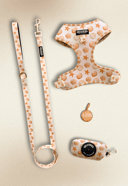 Pack Dogmodel - Arnés ajustable Premium "Arena y Sal" + Joya Identificativa - Huellas de Ibiza