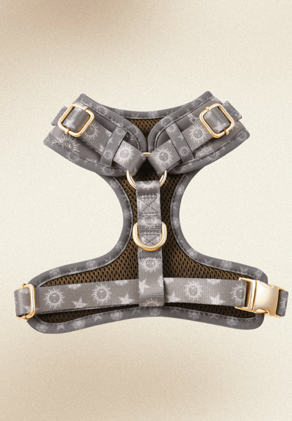 Pack Dogmodel - Arnés ajustable Premium "Day&Night Ibiza" + Joya Identificativa - Huellas de Ibiza