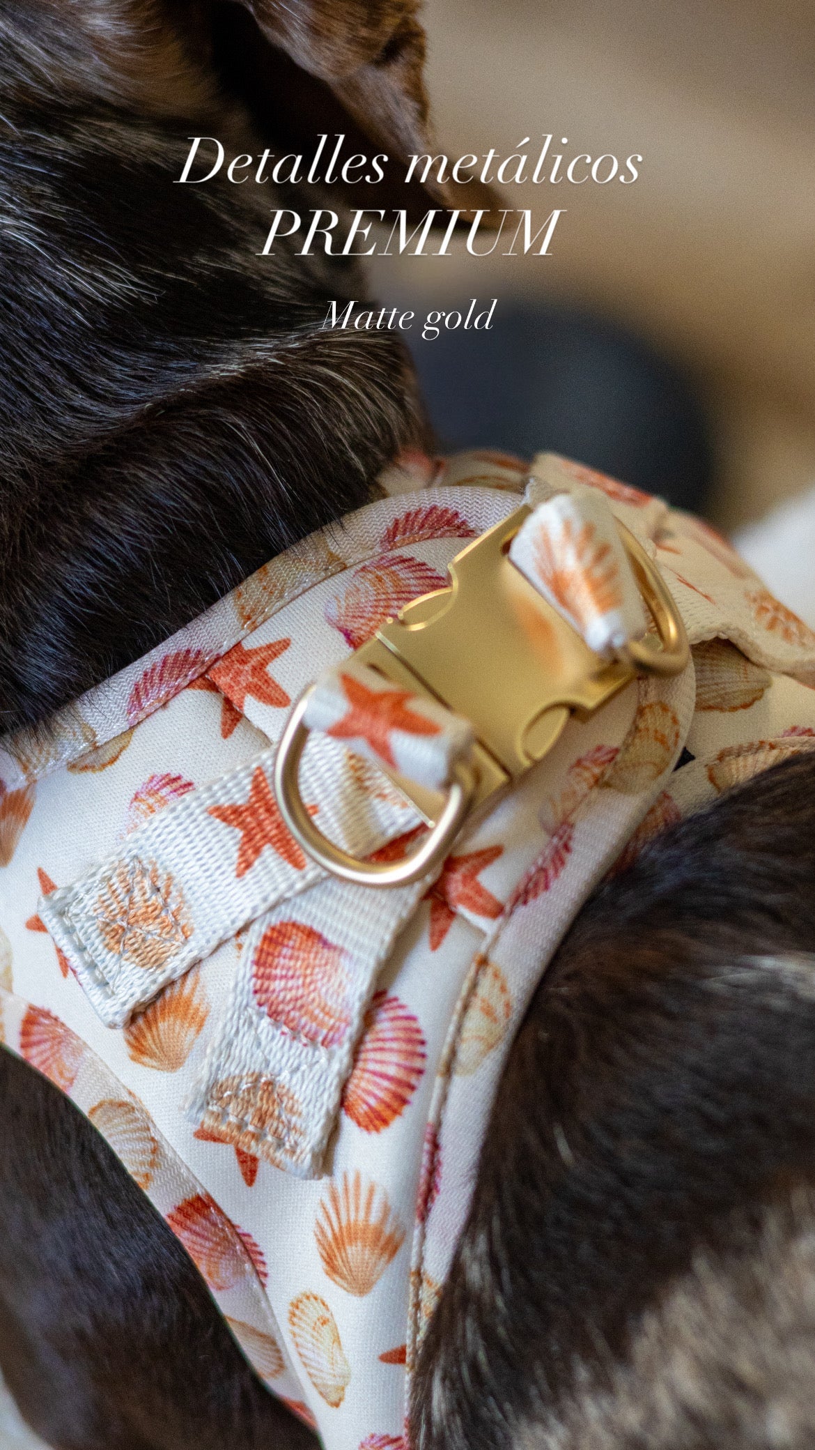 Pack Dogmodel - Arnés body Premium "Arena y Sal" + Joya Identificativa - Huellas de Ibiza