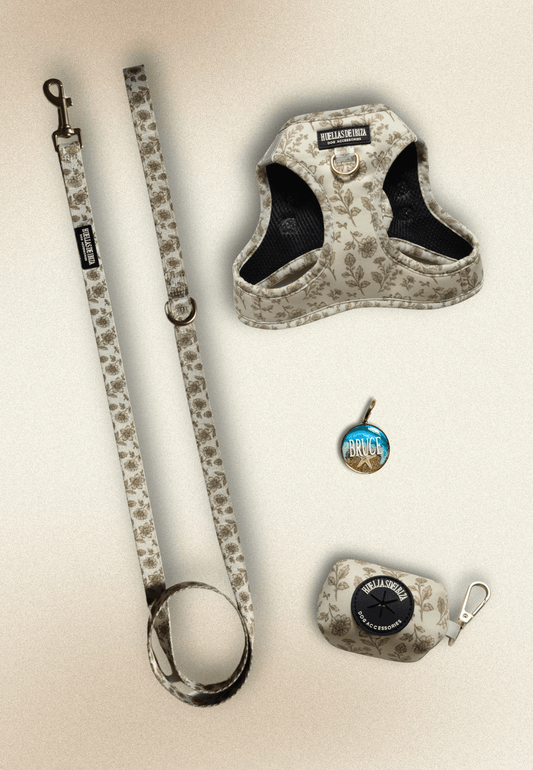 Pack Dogmodel - Arnés body Premium "Boho Chic Ibiza" + Joya Identificativa - Huellas de Ibiza