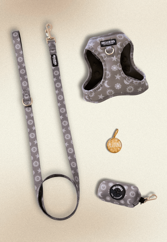 Pack Dogmodel - Arnés body Premium "Day&Night Ibiza" + Joya Identificativa - Huellas de Ibiza