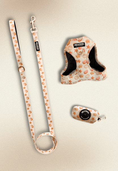 Pack Dogmodel - Arnés body Premuim "Arena y Sal" - Huellas de Ibiza