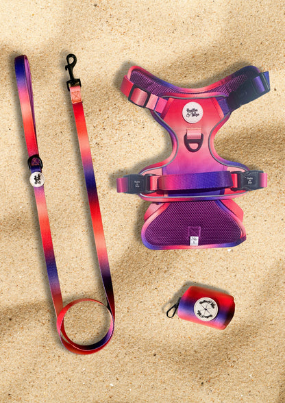 PACK "DOGMODEL" Cielo de Ibiza - Huellas de Ibiza