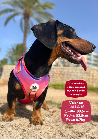 PACK "DOGMODEL" Cielo de Ibiza - Huellas de Ibiza