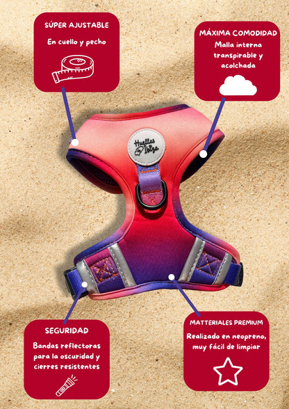 PACK "DOGMODEL" Cielo de Ibiza - Huellas de Ibiza