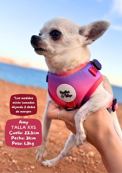 PACK "DOGMODEL" Cielo de Ibiza - Huellas de Ibiza