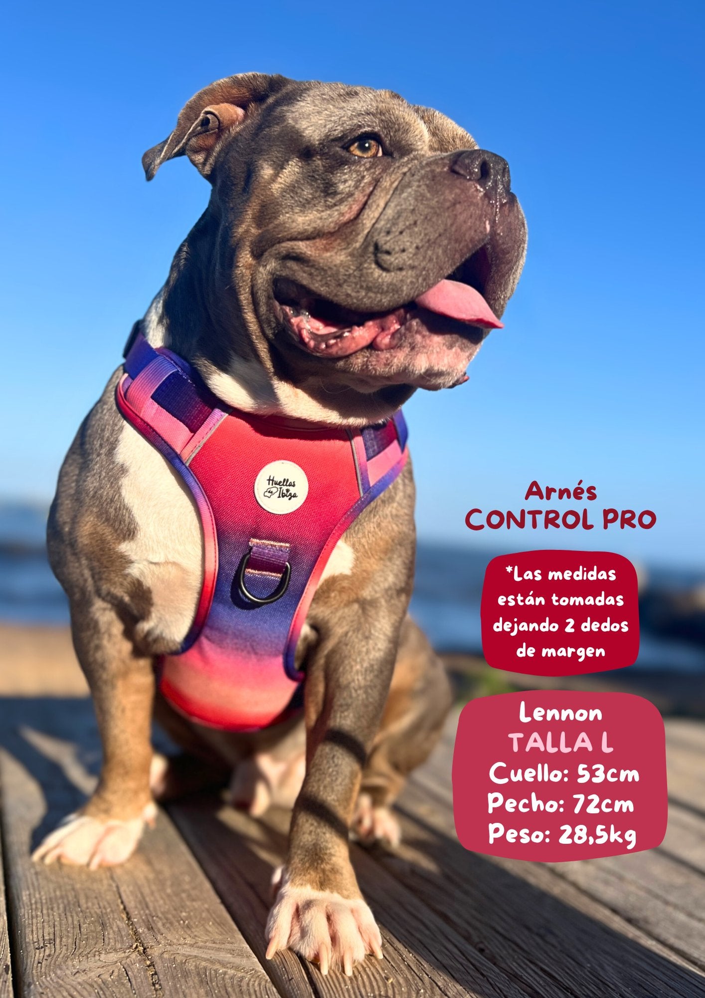 PACK "DOGMODEL" Cielo de Ibiza - Huellas de Ibiza