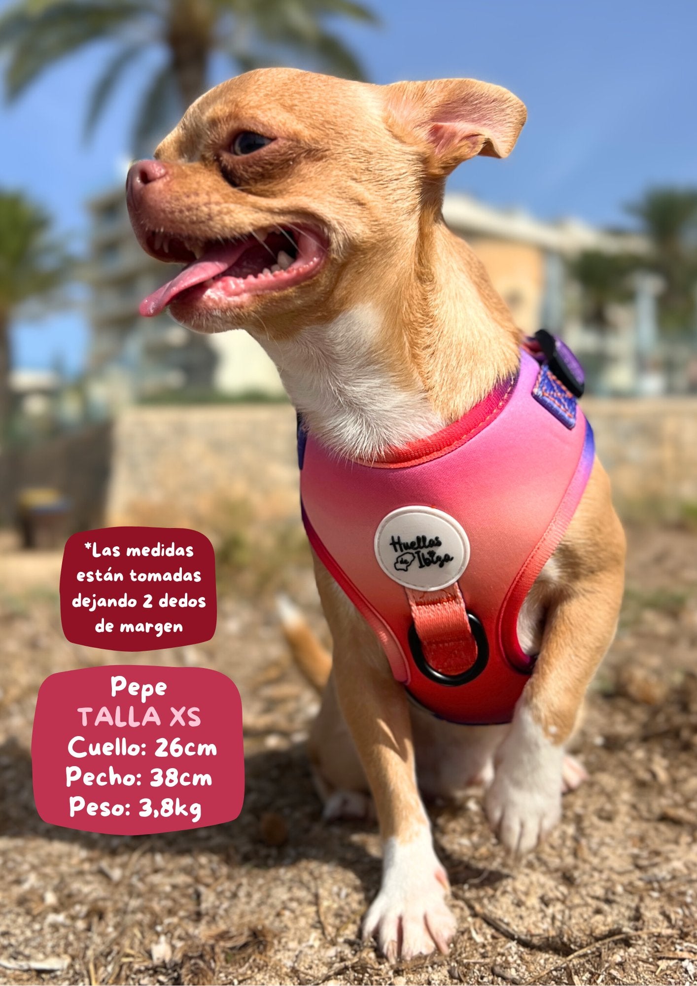 PACK "DOGMODEL" Cielo de Ibiza - Huellas de Ibiza