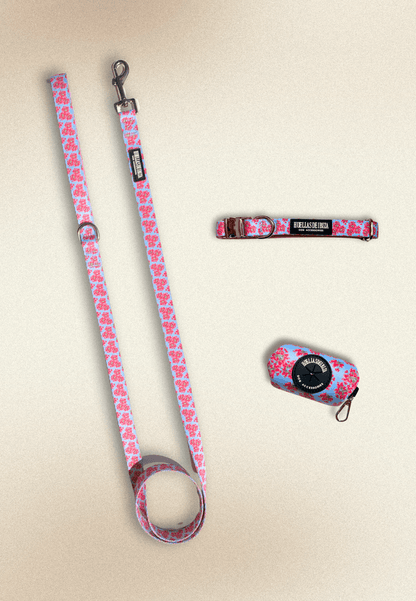 Pack Glamour "Buganvillas de Ibiza" - Huellas de Ibiza