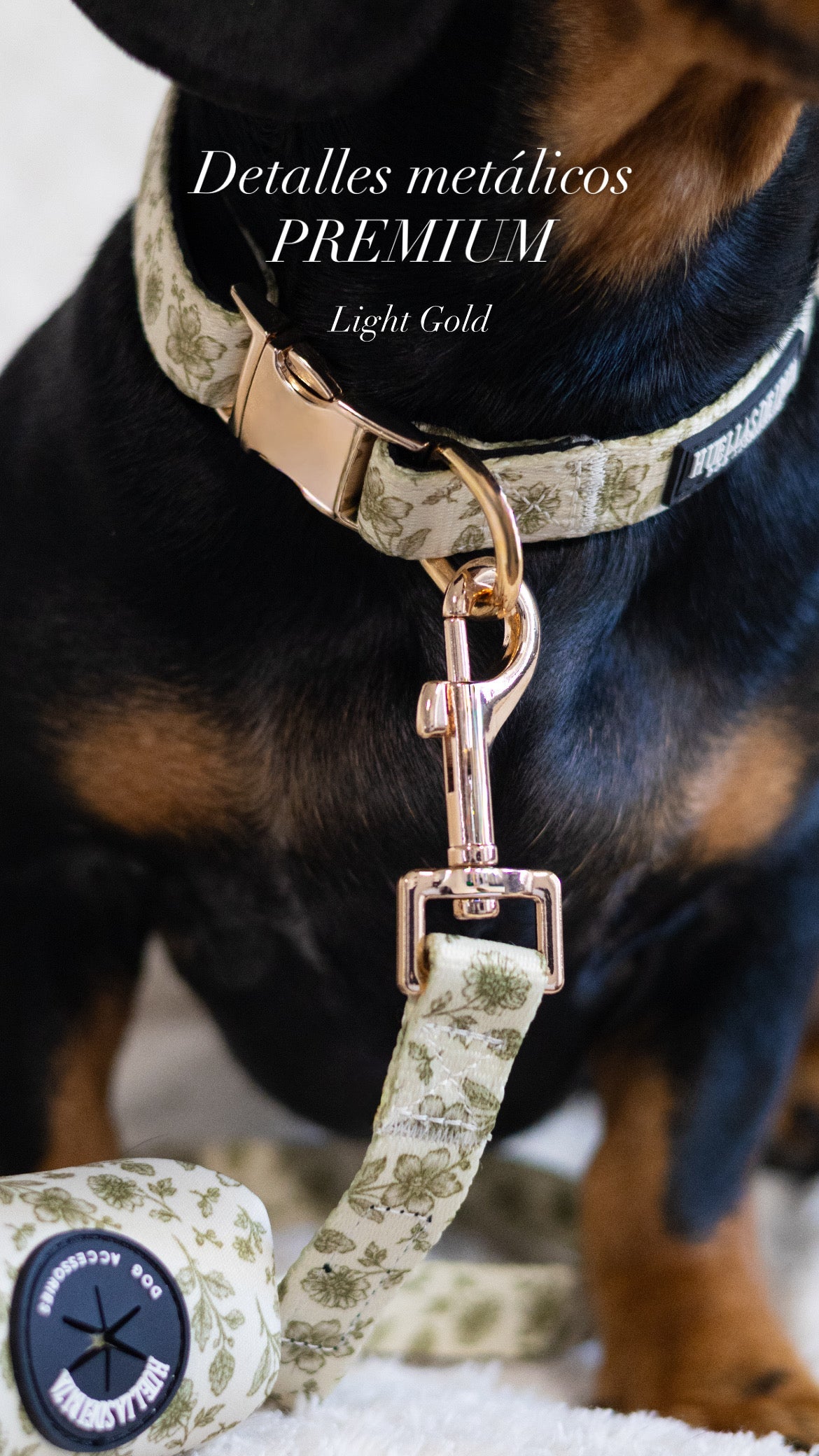 Pack Glamour - Collar ajustable Premium "Boho Chic Ibiza" + Joya Identificativa - Huellas de Ibiza