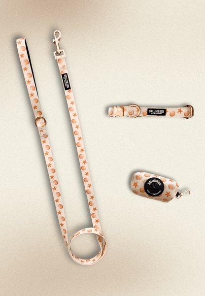 Pack Glamour - Collar ajustable Premuim "Arena y Sal" - Huellas de Ibiza