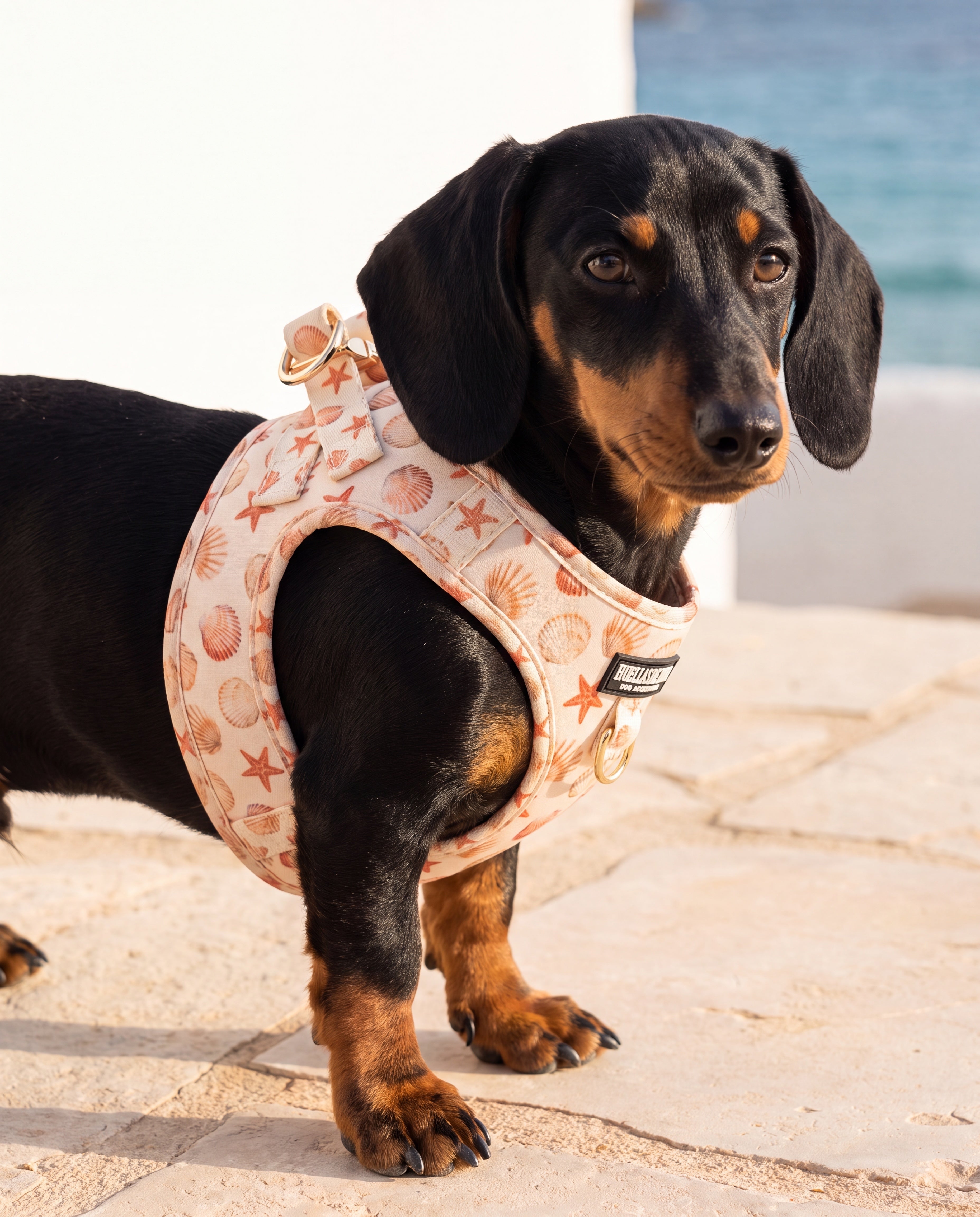 Set de paseo "Arena y Sal" - Arnés body premium - Huellas de Ibiza