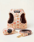 Set de paseo "Arena y Sal" - arnés body, correa de 1,5 m y porta bolsas a juego, estampado de conchas y estrellas de mar coral sobre crema, herrajes dorados - Huellas de Ibiza