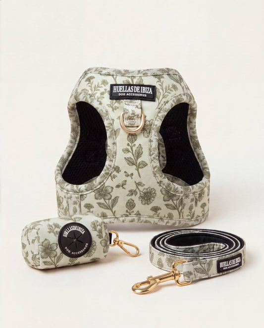 Set de paseo "Boho Chic Ibiza" - Arnés body premium - Huellas de Ibiza