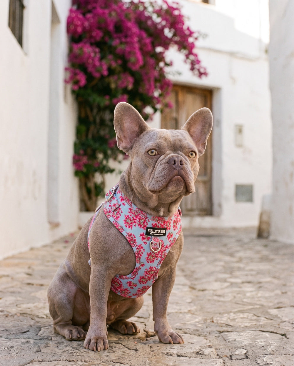 Set de paseo "Buganvillas de Ibiza" - Arnés ajustable