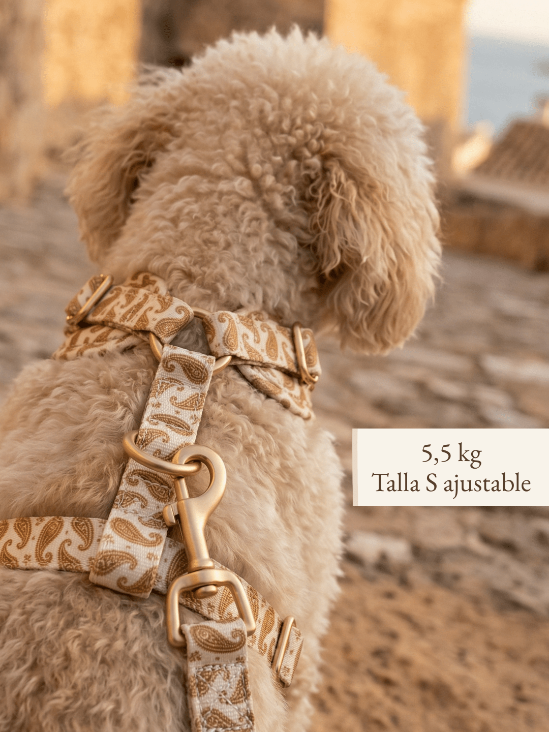 Set de paseo "Espíritu Ibicenco" - Arnés ajustable premium - Huellas de Ibiza