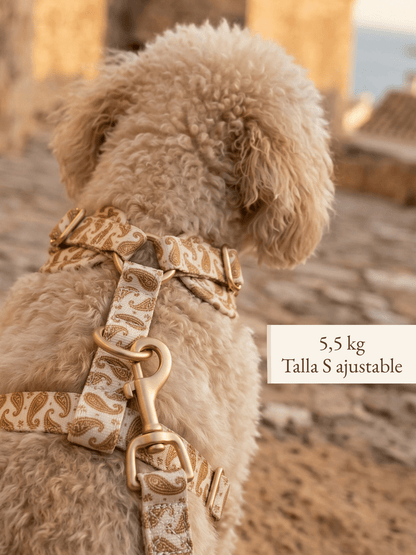 Set de paseo "Espíritu Ibicenco" - Arnés ajustable premium - Huellas de Ibiza