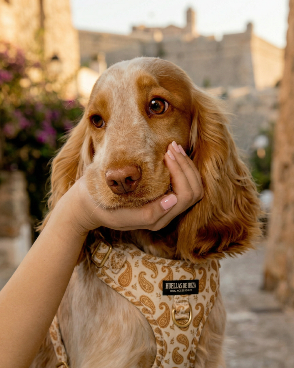 Arnés ajustable para perros "Espíritu Ibicenco"