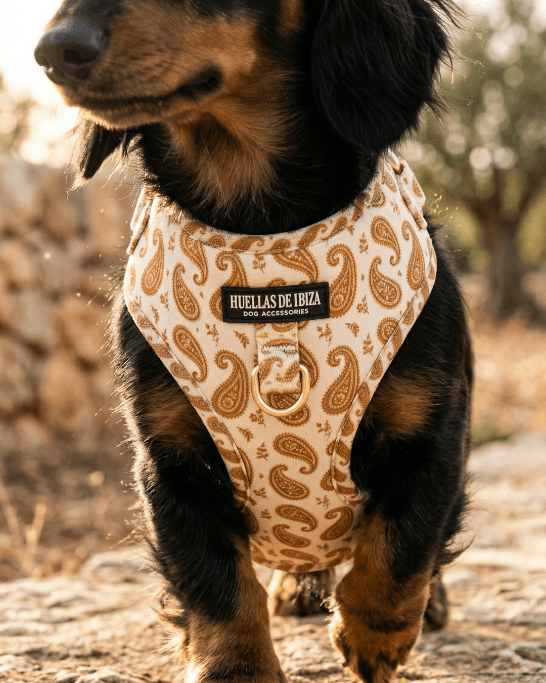 Set de paseo "Espíritu Ibicenco" - Arnés ajustable premium - Huellas de Ibiza