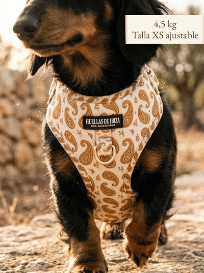 Set de paseo "Espíritu Ibicenco" - Arnés ajustable premium - Huellas de Ibiza