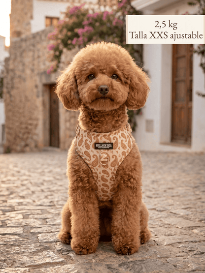 Set de paseo "Espíritu Ibicenco" - Arnés ajustable premium - Huellas de Ibiza
