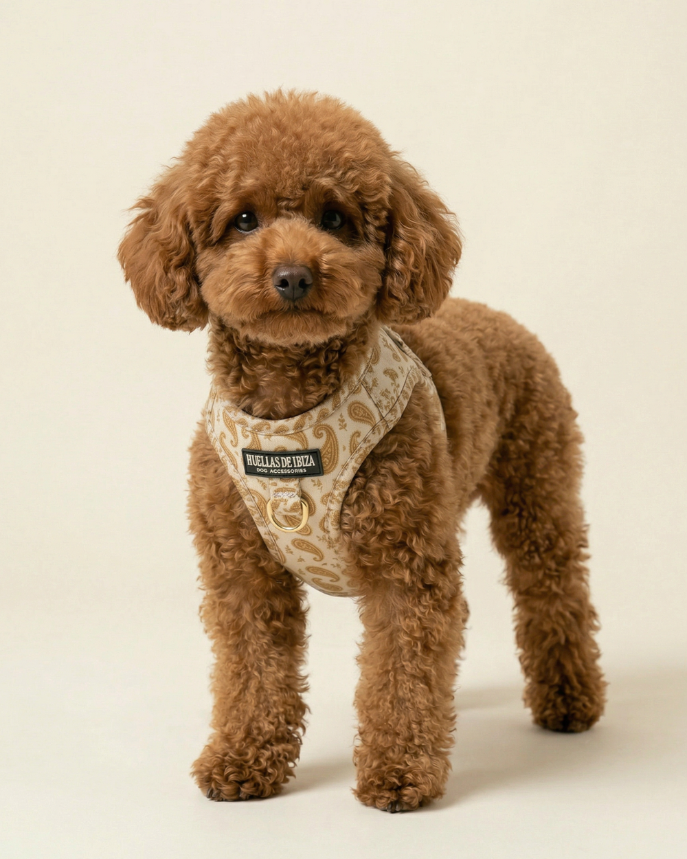 Arnés body para perros "Espíritu Ibicenco"